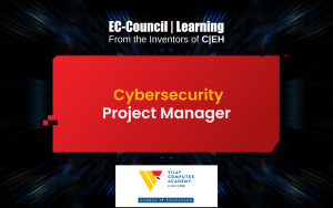 Cybersecurity Project Manager